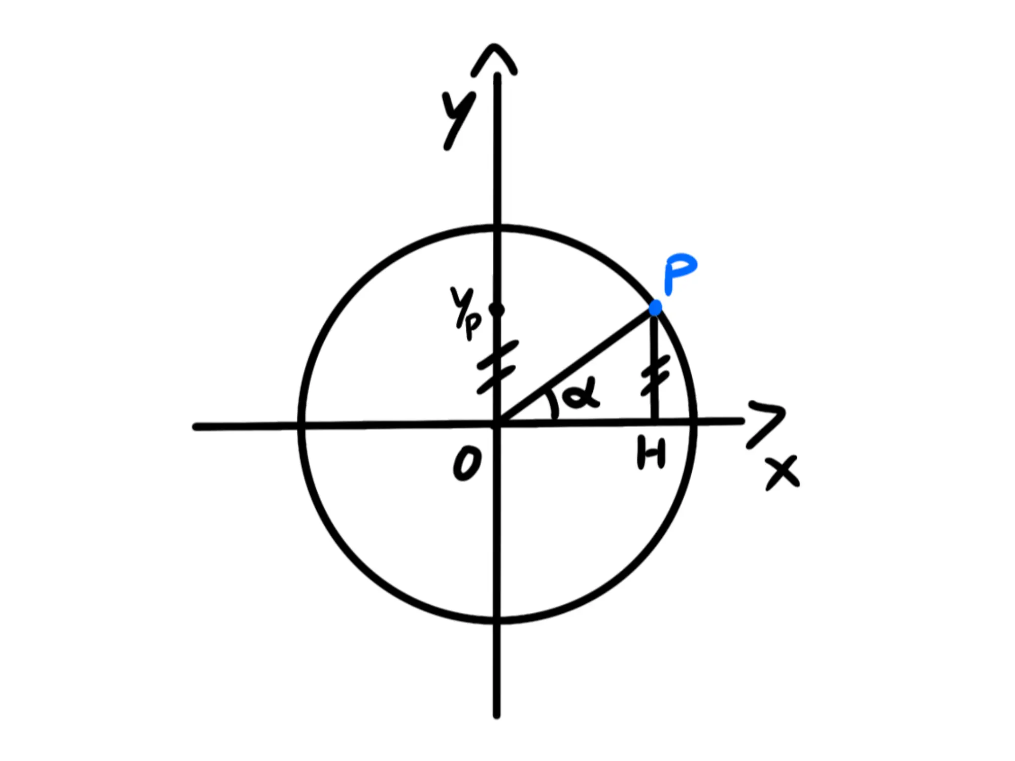 Cosa sono — Punto su circonferenza goniometrica con angolo α e assi cartesiani.