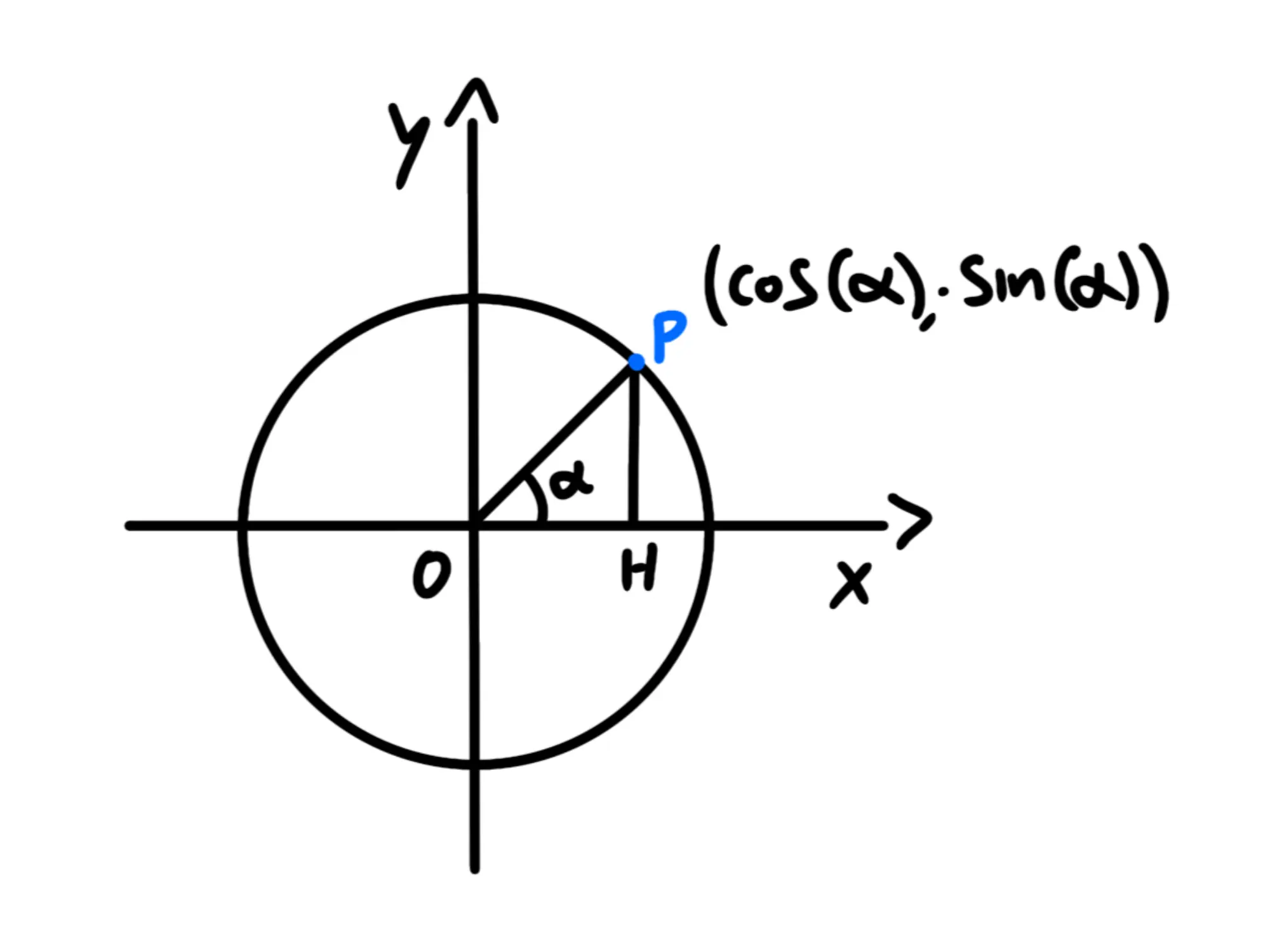 Cosa sono — Funzioni goniometriche, cerchio unitario con angolo α e punto P.