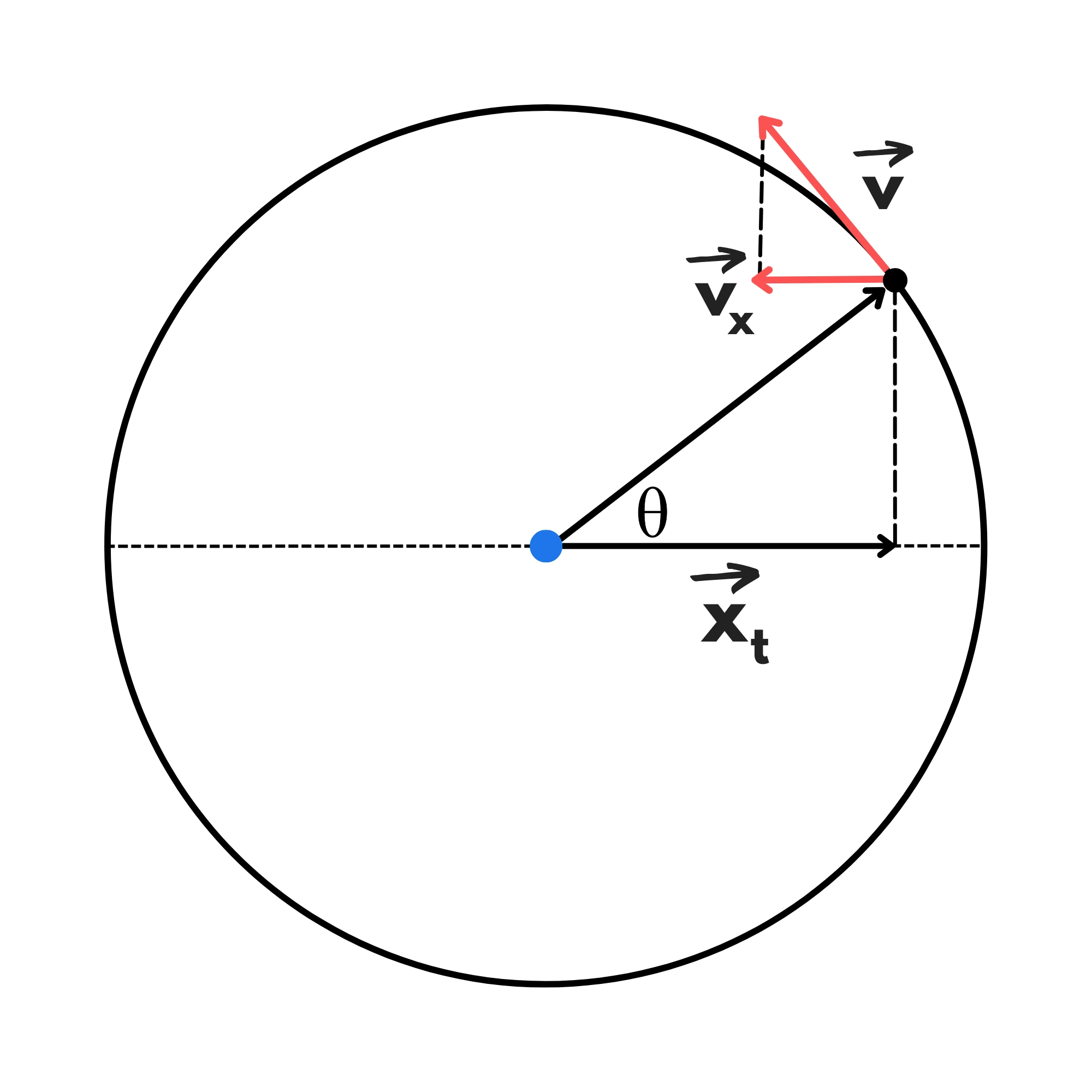 Cos'è moto armonico — Moto armonico, diagramma velocità e proiezione circolare uniforme