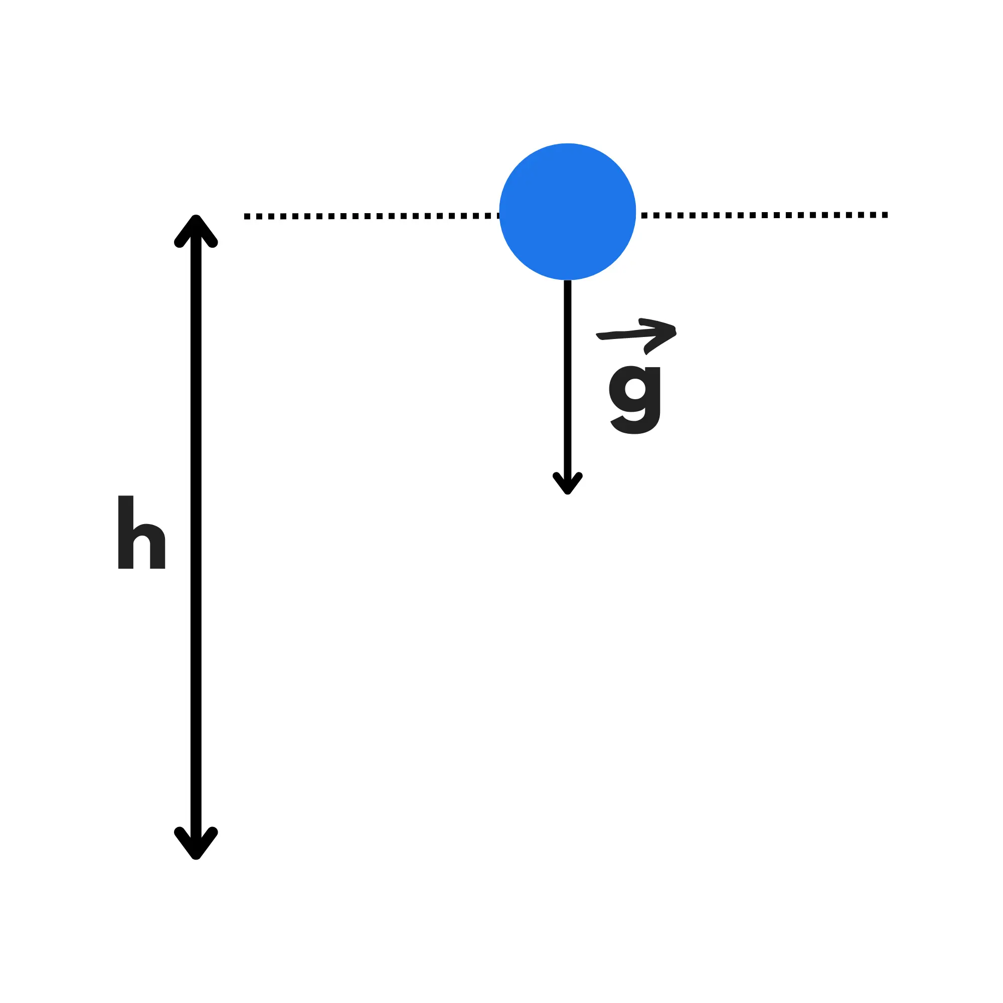 Cos'è moto caduta libera — Caduta libera, sfera cade da altezza h con gravità g.