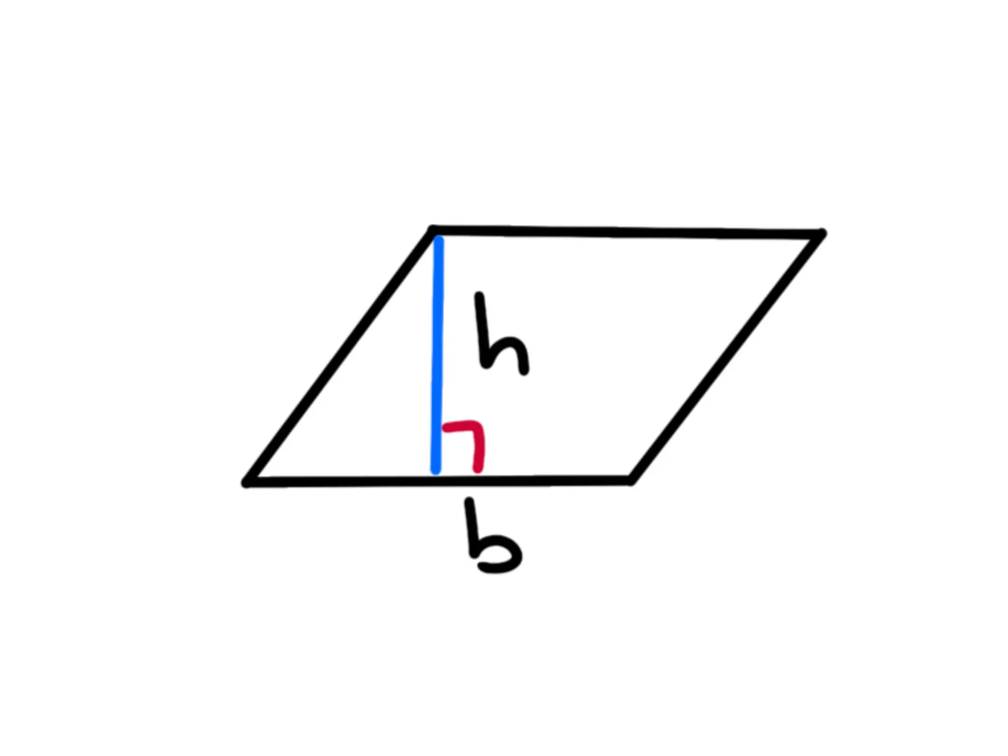 Cos'è parallelogramma — Parallelogramma con base b e altezza h perpendicolare evidenziata.